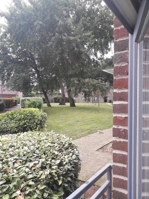 1 Bedroom flat In Gosport Wants 1 Bedroom flat In Carshalton on the Hill House Exchange