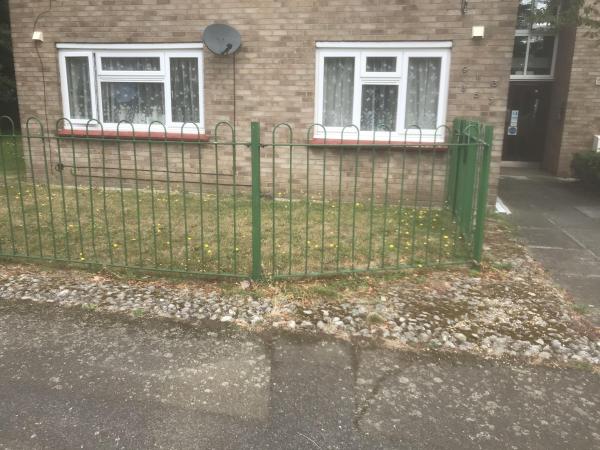 1 Bedroom flat In Gravesend Wants 1 Bedroom flat In Gravesend House Exchange