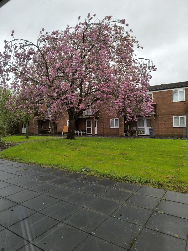 1 bedroom flat in Rusholme House Exchange