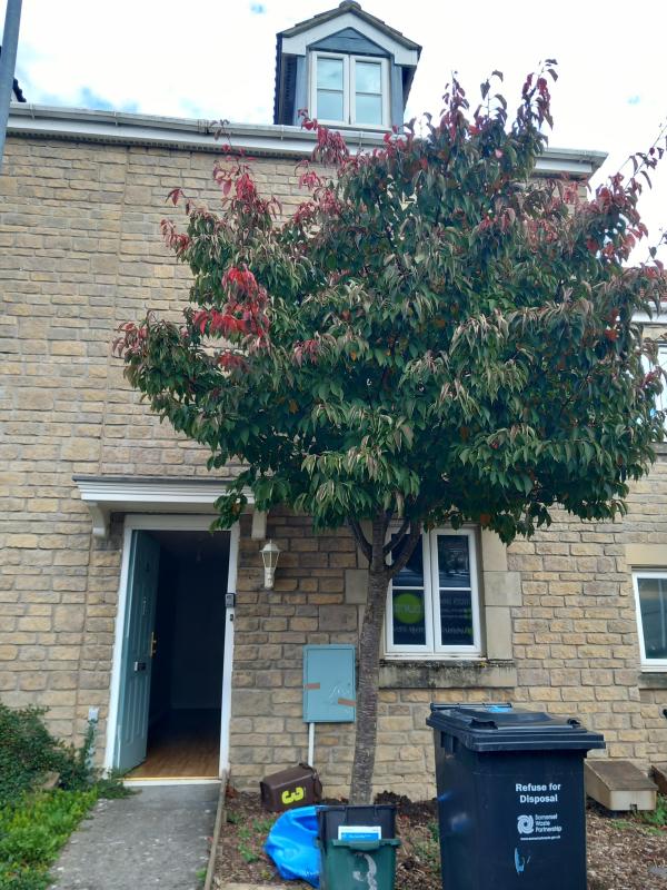 3 Bedroom house In Frome Wants 3 Bedroom house In Weston super Mare House Exchange